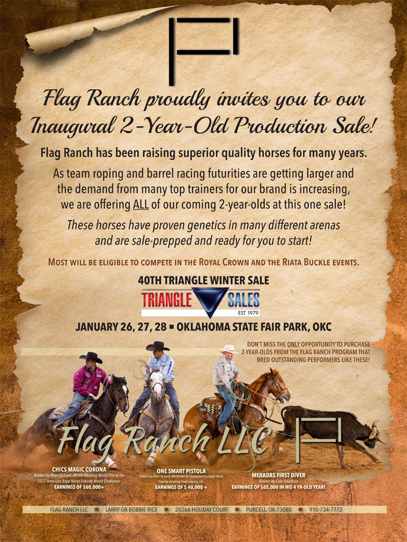 Flag Ranch LLC - Performance Horses and Prospects